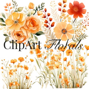 Beautiful Orange Watercolor Floral Clipart Set - for Wedding cards, Invitation cards & Mugs - PNG Format