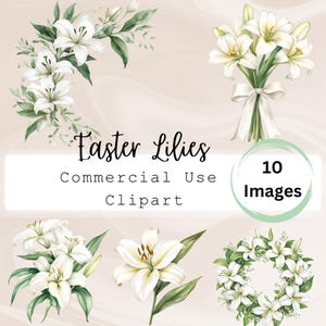Aquarelle lys de Pâques Clipart, PNG Pâques, Clipart floral, Clipart fleur pour les funérailles, Illustration de lys de Pâques, Images de fleurs de mariage