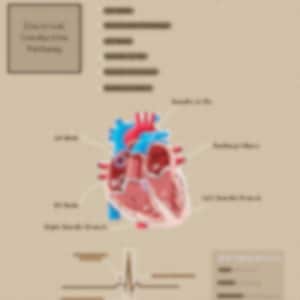 以下が含まれることがあります： 心臓の図で、右心房、右心室、左心房、左心室、大動脈、肺動脈、上大静脈など、さまざまな部分のラベルが付けられています。図には、スタイリッシュな心電図波形も含まれています。