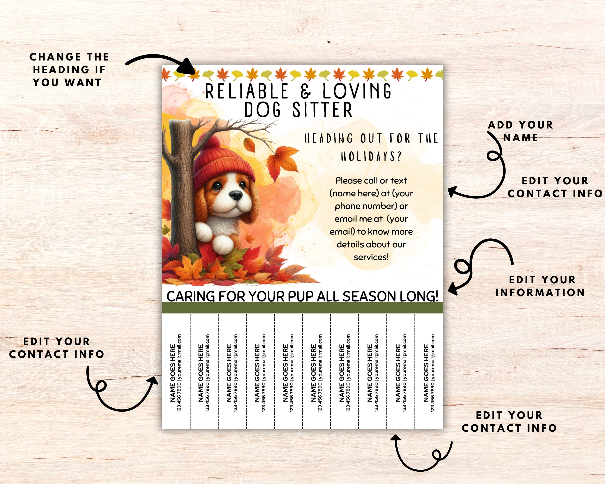Editable Pet Sitter Flyer Template Dog Sitter Flyer Doggy Daycare