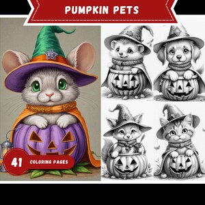 Könnte beinhalten: Eine Sammlung von Malvorlagen zum Thema Halloween mit entzückenden Tieren. Das Bild zeigt eine Maus, einen Igel, einen Welpen, einen Fuchs und eine Katze, die jeweils Hexenhüte und Umhänge tragen und in geschnitzten Kürbissen sitzen. Der Text "PUMPKIN PETS" und "41 COLORING PAGES" ist ebenfalls enthalten.