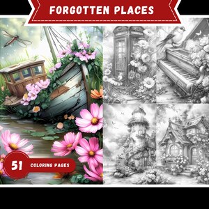 May include: A digital art print titled "Forgotten Places" featuring four detailed illustrations. The images include a boat overgrown with flowers, a telephone booth, a piano, a lighthouse, and a cottage. The print includes 51 coloring pages.