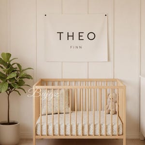 May include: A light wood cot with a patterned sheet and pillow, a teddy bear, and a banner reading "THEO FINN" above. A potted plant and a white chest of drawers are also in the room.