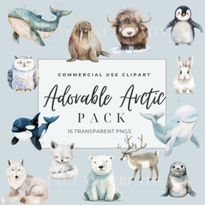 Adorable pack de cliparts arctique, igloos, ours polaire, pingouin, images PNG transparentes, animaux.