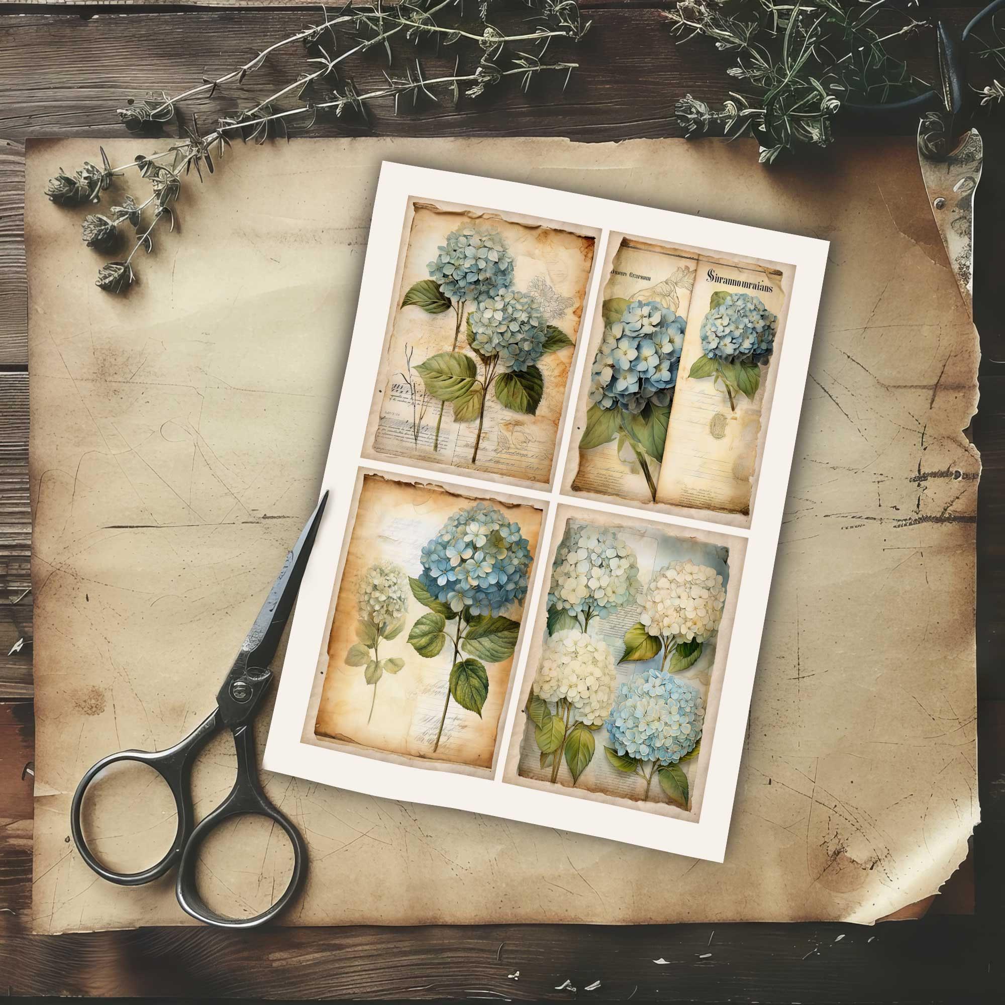 Blue Hydrangea Junk Journal Card Pack, Vintage Ephemera, Flower Digital ...