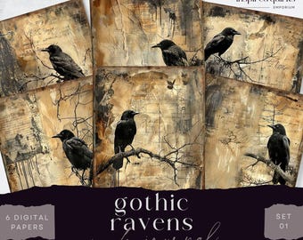 Diario basura Raven, cuervo gótico vintage, 6 hojas de diario digital, efímeras de naturaleza imprimibles, manualidades de papel de bosque, hoja de collage de 8,5 x 11 pulgadas