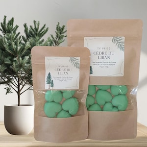Peut inclure: Deux sachets en papier kraft avec fenêtres transparentes contenant des fondants parfumés en forme de cœur vert clair. Les sachets portent l'inscription "TY PRISS CÈDRE DU LIBAN". Un petit arbre à feuilles persistantes en pot est en arrière-plan.