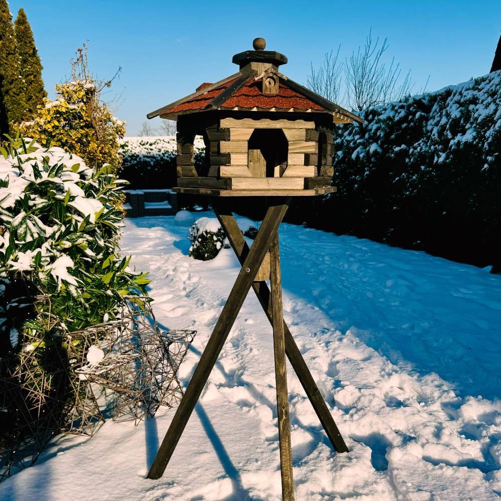 Sneeuwvogelhuis Op Een Pijnboomboom Houten Vogelhuis Van Hout Nestkastje Het Bos Image113427510