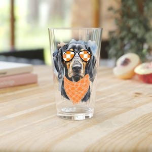 Tennessee Smoky Checkboard Sunglasses Pint Glass, UT Vols Gift, College Football Fan, Volunteer State, Beer Glass, 16oz