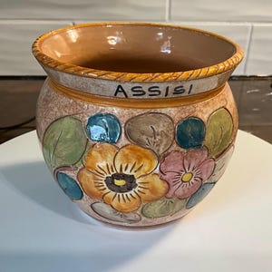 May include: A brown ceramic planter with a floral design. The planter has a brown rim and the word "ASSISI" written on the side. The flowers are yellow, pink, green, and blue.