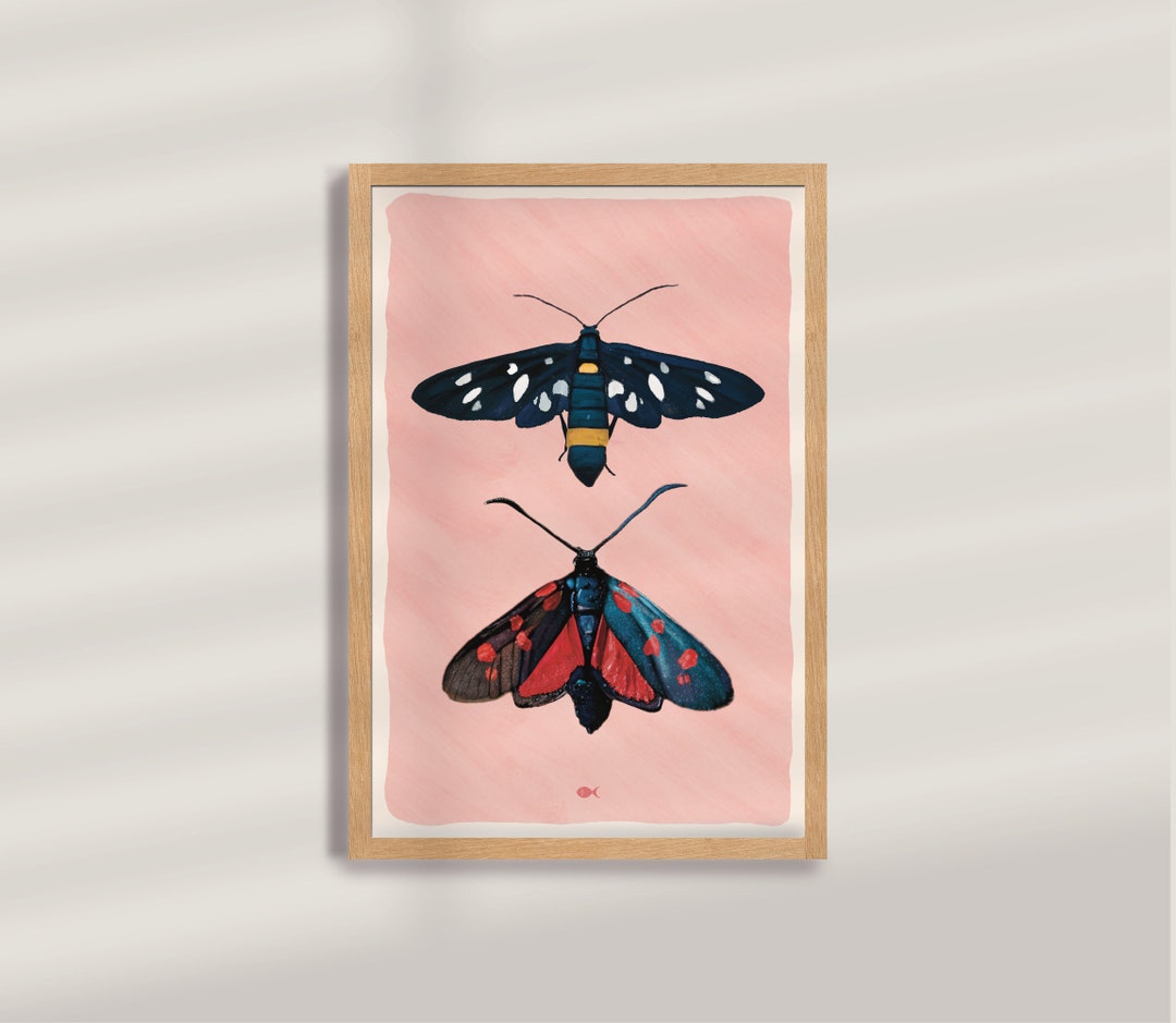 Moth Illustration, Digital Print, Wall Decoration, Animal Art ...