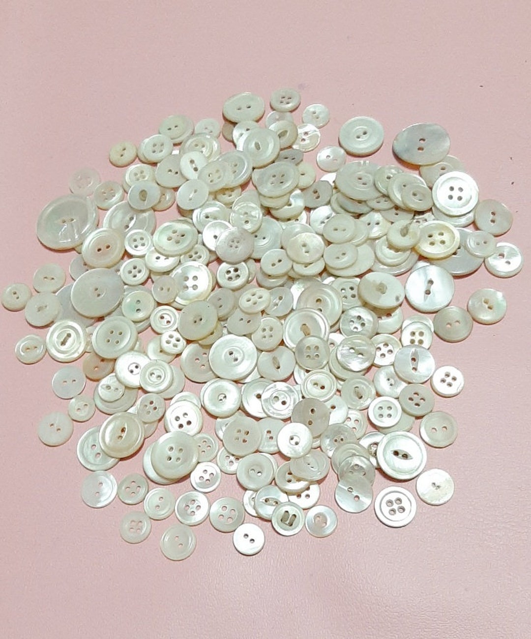 Shell Buttons 240 Plus - Etsy