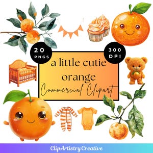 A Little Cutie Is On The Way clipart bundle PNG transparent background digital download | Cutie Orange clipart | Citrus clipart | Baby PNG