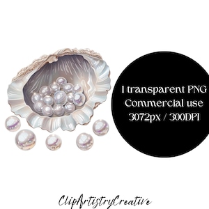 Pearls clam clipart PNG image illustration transparent background instant digital download, white pearls in a claim image