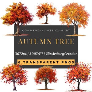 Pacchetto clipart di alberi autunnali PNG sfondo trasparente download digitale, clipart autunnale, clipart stagionale, clipart albero rosso arancione