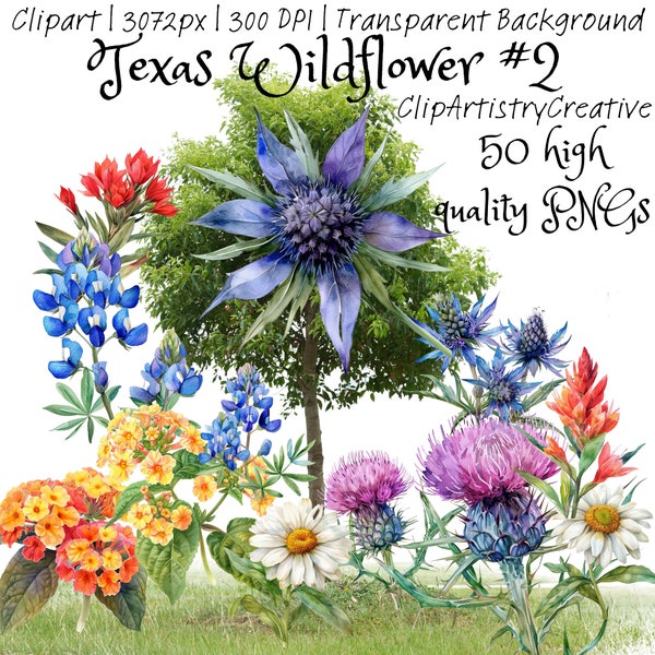 Texas Wildflower clipart bundle PNG transparent background, Texas flower clip art, Texas floral clipart, wildflower clip art, pretty florals