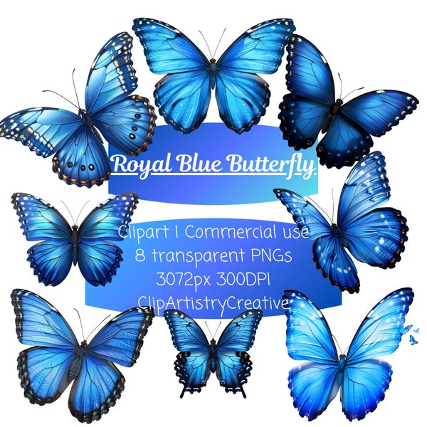 Royal Blue Butterfly Butterflies clipart bundle PNG transparent background instant digital download, animal clipart, butterfly images