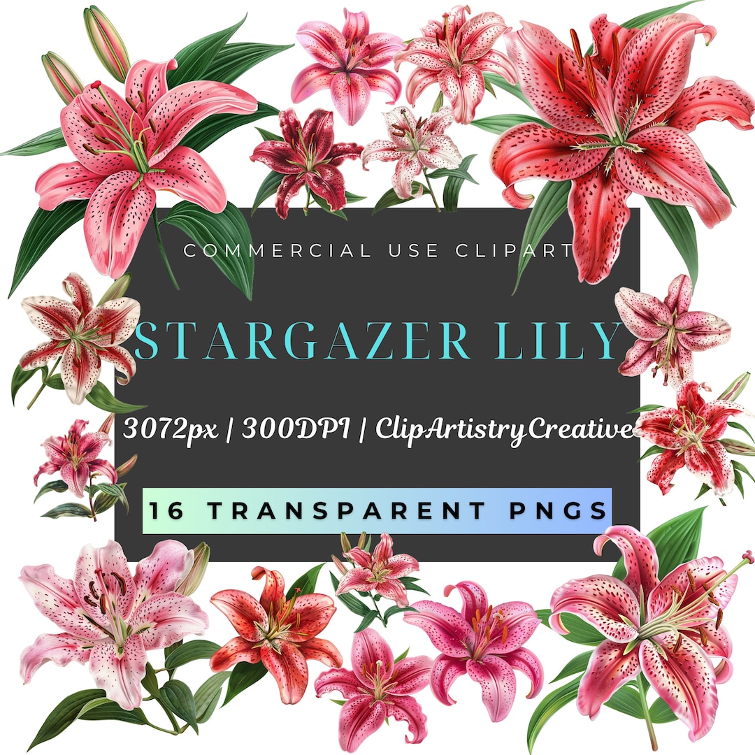 Lilyページ The Shining Stargazer Bouquet at From You Flowers