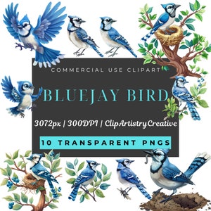May include: Ten digital illustrations of blue jays, a type of bird, in various poses. Some blue jays are perched on branches with green leaves and blue berries. One blue jay is in a nest. The illustrations are on a white background.