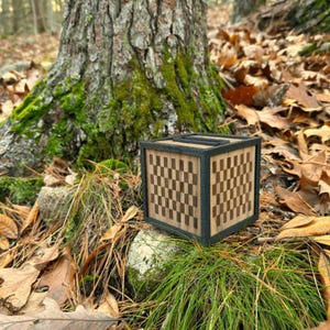 Può includere: Un cubo di legno con un motivo a scacchiera sui lati. Il cubo ha una cornice scura ed è ambientato su uno sfondo naturale di foglie, erba e un tronco d'albero.