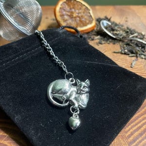 May include: A silver-colored cat-shaped tea infuser with a heart charm, resting on a black velvet pouch. A stainless steel tea strainer and loose tea leaves are visible in the background. A dried orange slice is also in the background.