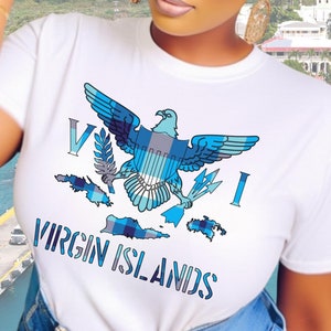 Virgin Islands Blue Madras Flag T-Shirt: USVI Cultural Souvenir Tee