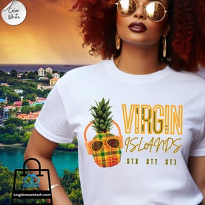 Virgin Islands Madras Shirt, Virgin Islands Madras Pineapple T-Shirt, Love Virgin Islands, Virgin Islands Gift, VI Vacay Tee, USVI Souvenir