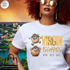 Virgin Islands Madras T-Shirt, Virgin Islands Madras Coconut T-Shirt, Love Virgin Islands, Virgin Islands Gift, VI Vacay Tee, USVI Souvenir