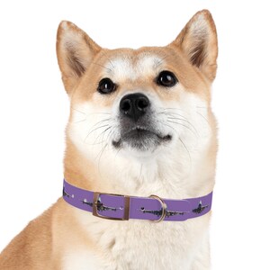 Dog Collar with 747 Queen Of The Skies Jumbo Jet Aeroplane / Airplane for Aviation Lovers (Purple)