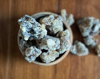 Hojari negro - Boswellia sacra - Incienso Omán