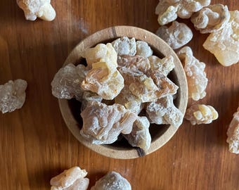 Hojari rojo - Boswellia sacra - Incienso Omán