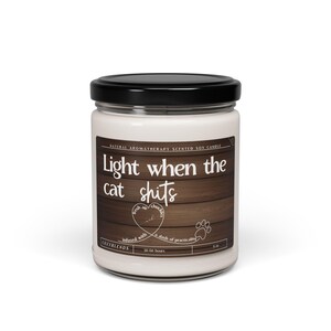 Regalos para dueños de gatos, velas divertidas, enciéndeme cuando el gato cague, regalo divertido para amantes de los gatos, idea única de regalo de cumpleaños para papá o mamá felino, regalos de broma imagen 4