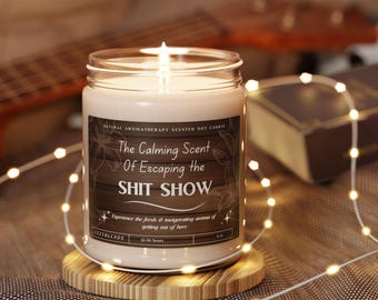 Divertido regalo de vela de despedida de compañero de trabajo para un amigo que deja el trabajo regalos de despedida para un compañero de trabajo que deja un trabajo sarcástico jefe de velas que deja el trabajo en movimiento