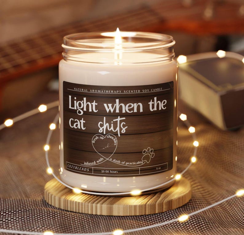 Regalos para dueños de gatos, velas divertidas, enciéndeme cuando el gato cague, regalo divertido para amantes de los gatos, idea única de regalo de cumpleaños para papá o mamá felino, regalos de broma imagen 1