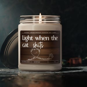 Regalos para dueños de gatos, velas divertidas, enciéndeme cuando el gato cague, regalo divertido para amantes de los gatos, idea única de regalo de cumpleaños para papá o mamá felino, regalos de broma imagen 3
