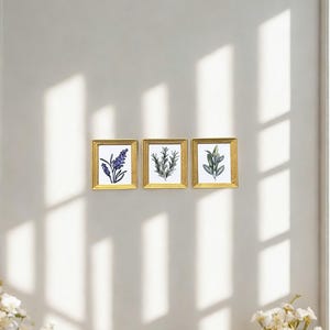 Peut inclure: Trois petits cadres muraux rectangulaires aux bordures dorées, contenant chacun une illustration botanique sur fond blanc. Le cadre de gauche montre de la lavande violette, celui du centre du romarin vert et celui de droite de la sauge verte.