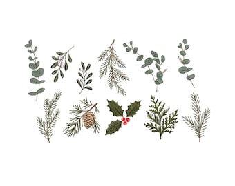 May include: A collection of embroidered botanical elements including various evergreen sprigs, eucalyptus branches, mistletoe with white berries, a pinecone on a branch, and holly leaves with three bright red berries, all rendered in green and brown.