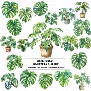 Imágenes prediseñadas de Monstera en acuarela, hojas de plantas de interior en maceta en acuarela PNG, imágenes prediseñadas de hojas de maceta, conjunto de descarga digital imprimible tropical