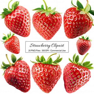 Strawberry Clipart, Strawberry PNG, Strawberry Clip Art, Fruit Clipart, Fruit PNG, Fruit Clip Art, Strawberry Graphics, Botanical Clipart