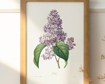 Impresión lila, carteles verticales mate, impresión botánica, cartel de flores