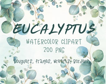 Eucalyptus PNG, Watercolor Eucalyptus Clipart Bundle, Greenery Clipart, Green Leaves,  Bouguets, Frames, Wreath, Border, Wedding Clipart.