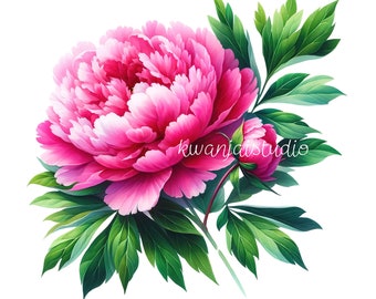 10 Peonies Bouquet Clipart, Peonies Print, Printable Watercolor clipart, 10 High Quality PNGs, Digital download, Paper craft, junk journal