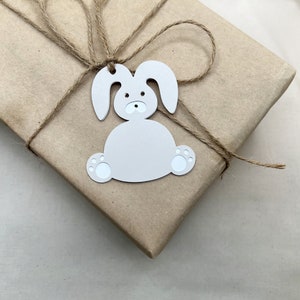 Etiqueta de presente de coelhinho da Páscoa perfeita para cesta de Páscoa infantil, decoração de Páscoa, lembrancinhas de festa de Páscoa. Camada dupla, etiqueta em branco - conjunto de 10.