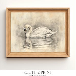 Schwan Skizze Kunstdruck | Vintage Turner & Sargent Stil (Digitaler Download)