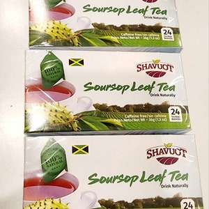 Soursop Leaf Tea 3 boxes( 24 bags each box) organic tea all natural