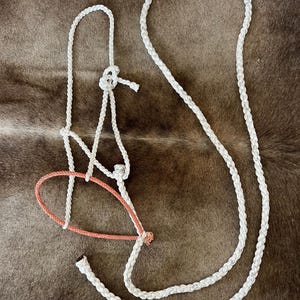 Cowboy strip-down Halters