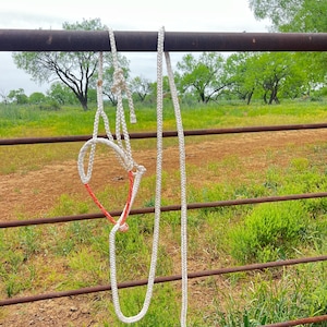 Rope Noseband Muletape Halters