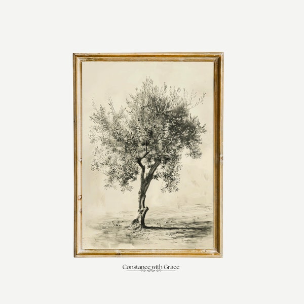 Minimalist Olive Tree Sketch on Textured Paper - Rustic Home Decor, Digital Download, Minimal Art