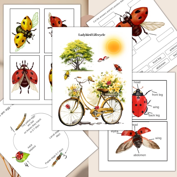 LADYBIRD Unit Study, Nature Study, Science, Life Cycle, Anatomy, Homeschool, Montessori, INSTANT DOWNLOAD