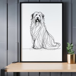 May include: Black and white line art print of a dog sitting. The dog has long hair and is looking directly at the viewer. The print is framed in a black frame and is hanging on a wall.